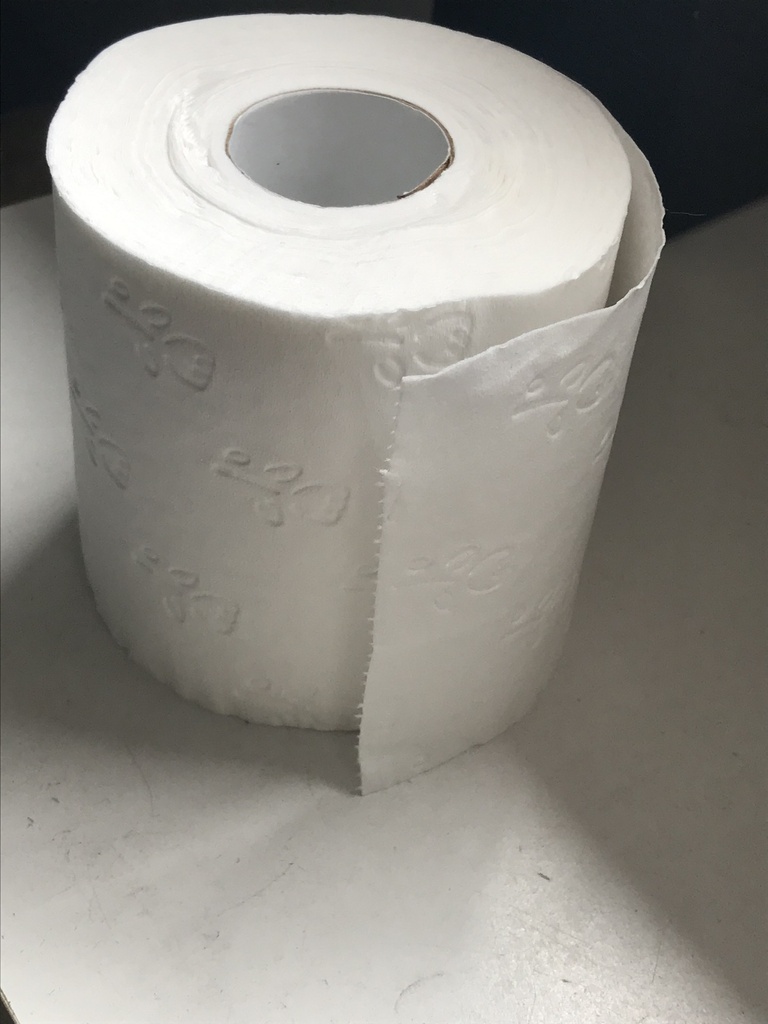 Papel higiénico — presentación familiar