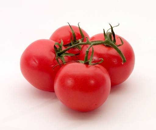 [QM-CAT-024] Tomate — presentación familiar